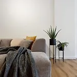 Fantastic And Centrally Located Apartment